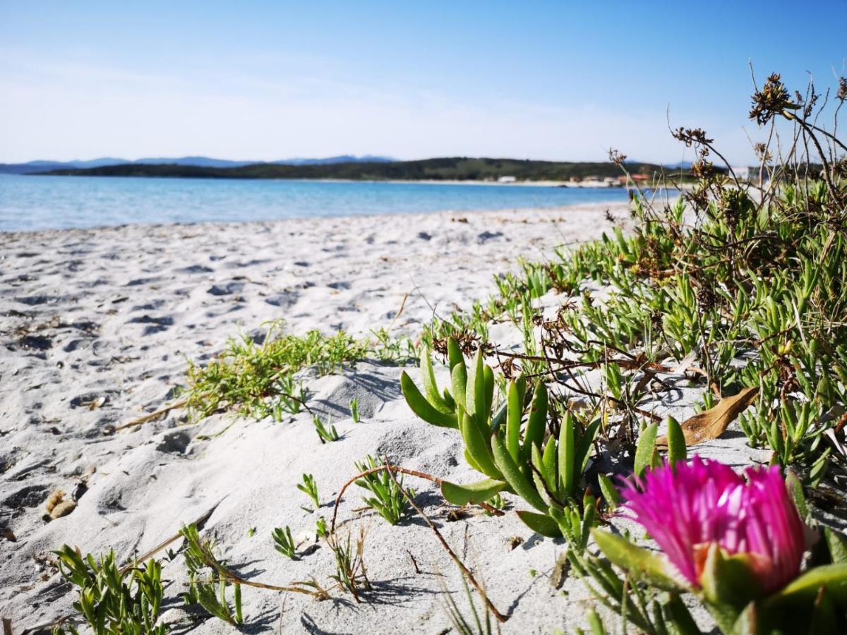 Insardinia House Trilocale A 200Mt Dalla Spiaggia Olbia Bagian luar foto